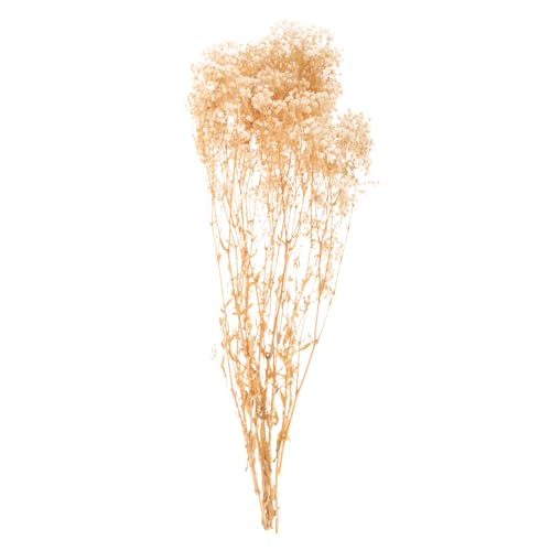 Ramo de flores secas Babysbreath beige natural decorativo miniatura 1