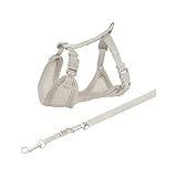 TRIXIE 15560 Junior Welpen-Softgeschirr mit Leine, S–M: 26–34 cm/10 mm, 2,00 m, hellgrau