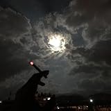 Lostwish