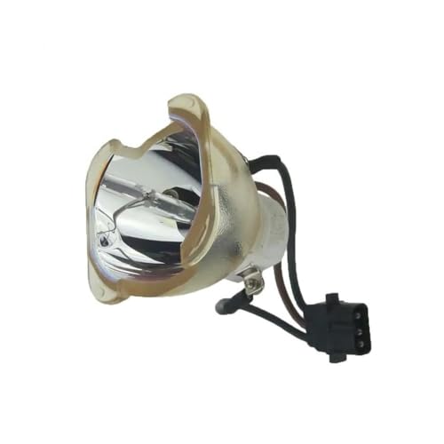CHENZGMG Accessories POA-LMP143 Accessories of Projector Lamp Fit for SANYO 6103513744 PDG-DWL2500 PDG-DWL2500S DXL2000 DXL2000S DXL2500 Projectors(POA-LMP143-CB)