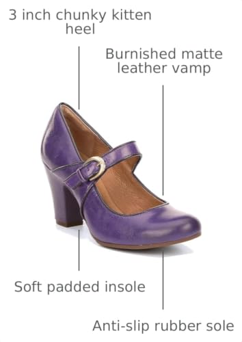 Image of SHODENSE Women Vintage Chunky High Heel Mary Jane Shoes Round Closed Toe Ankle Strap Dress Sandals 3 inch Block Heels Mary Jane Lolita Pumps Two-Toned Patchwork Buckle Office Lady Wedding Retro 4-11 M US