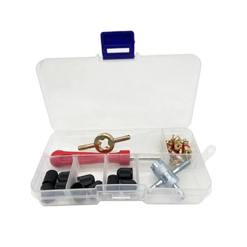 BaotyJie Kit de Reparación de Válvulas de Neumáticos de 33 Piezas, Herramienta Extractora de Núcleos de Válvulas, Llave para Núcleos de Válvulas para Vehículos