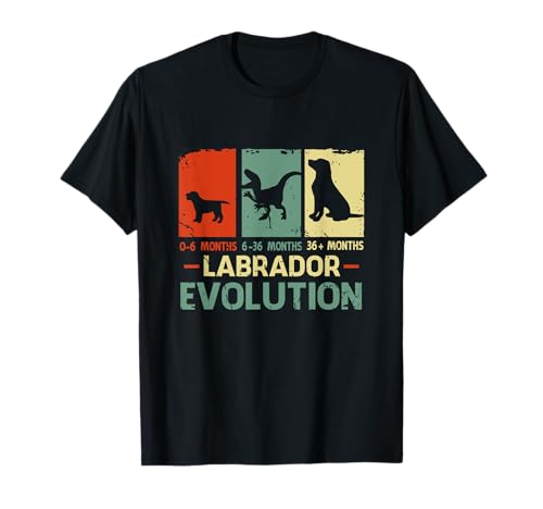 Labrador Propietario Labrador Retriever T-Rex Dinosaur Evolution Camiseta