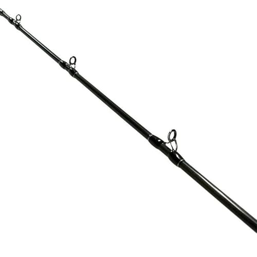 Fishman (フィッシュマン) ビームス ブランシエラ 4.11L FB-411L 3枚目