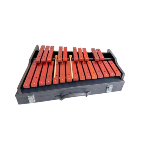 Glockenspiel de 25 notas metalófono infantil instrumento de percusión para escuelas