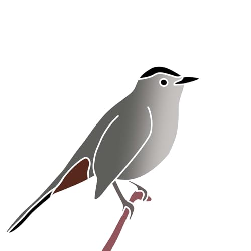 The Gray Catbird