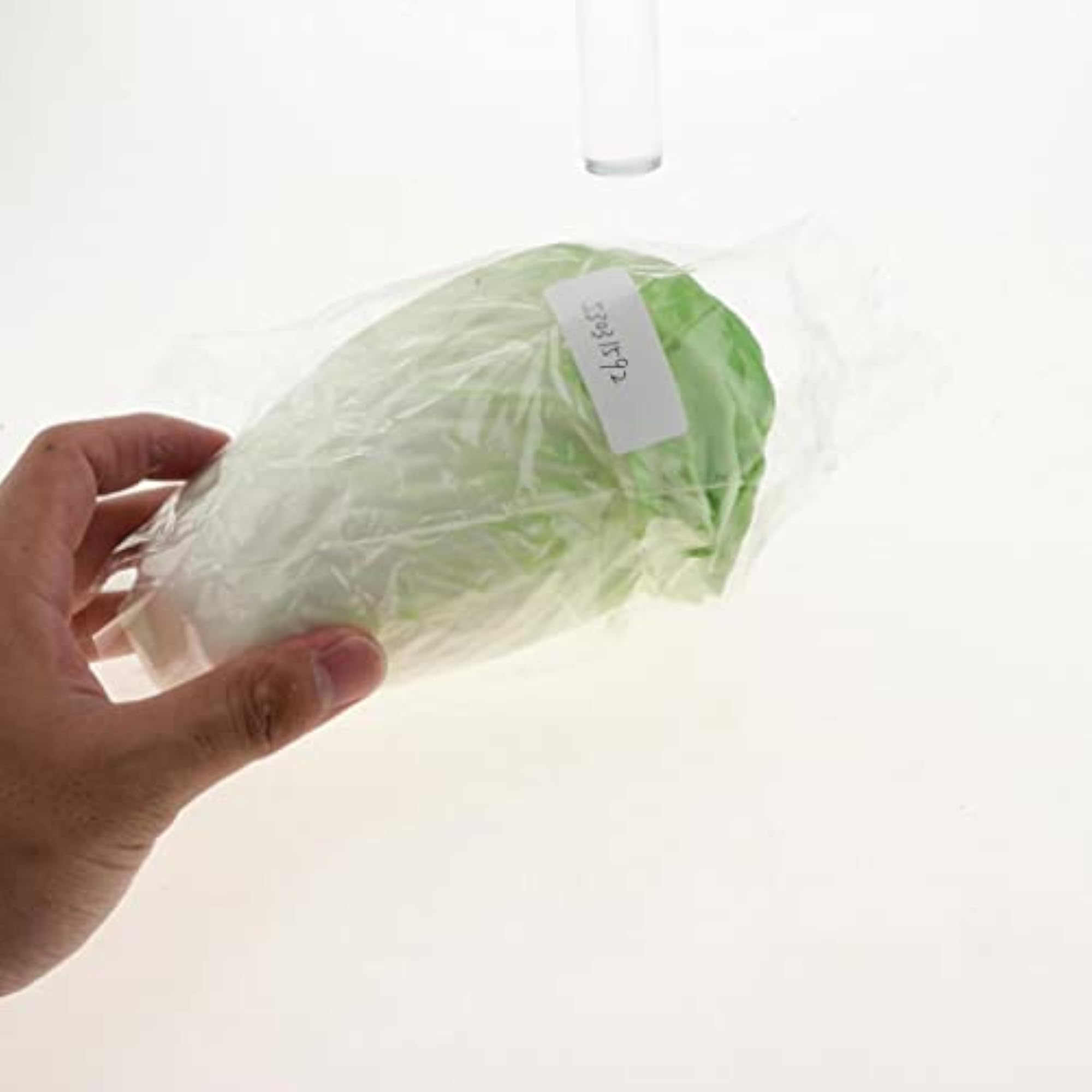 Artificial Cabbage Decorative Fruit for Home Kitchen Display