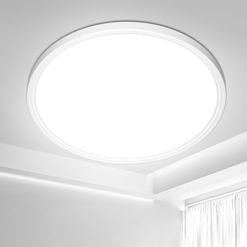 Swoieltr Bathroom LED Ceiling Light, 6500K Cold White Ø22.3CM 18W Round Modern Flush Ceiling Lights IP44 Waterproof Close-to-Ceiling Light for Office, Kitchen, Bedroom, Living Room