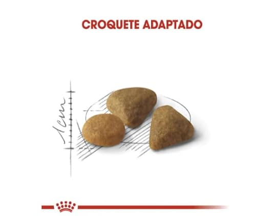 ROYAL CANIN Ração Royal Canin Exigent Gatos Adultos 1 5Kg Royal Canin Raça Adulto
