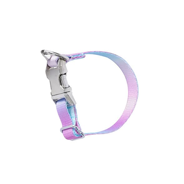 Photo 1 of 5 piece assorted dog bundle