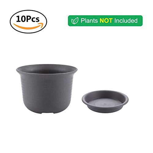 T4U 12.9CM Plastic Nursery Flower Pots with Pallet Dark Grey - Set of 10