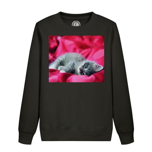 Sweatshirt enfant chaton gris mignon pull imprimé chat vêtement coton chaud