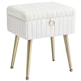 SONGMICS Taburete de Tocador, Banco de Maquillaje con Espacio, Reposapiés,...