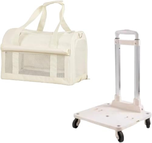 MoremoQQ L L[obO e ybgobO 傫 y  L 4 2Cp ybgL[ o L[P[X 萫 ʋC  ybgL[ bN hCu s O ЊQpybgobO (A7)