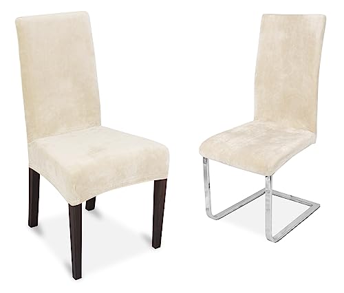 BEAUTEX 2er Set Stuhlhussen, elastische Stretch Hussen Bi-Elastic, Motiv und Farbe wählbar (Motiv Maya, Farbe Creme)