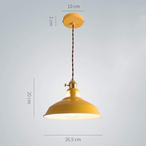 Lampe de suspension Edison à intensité ajustable pour salon