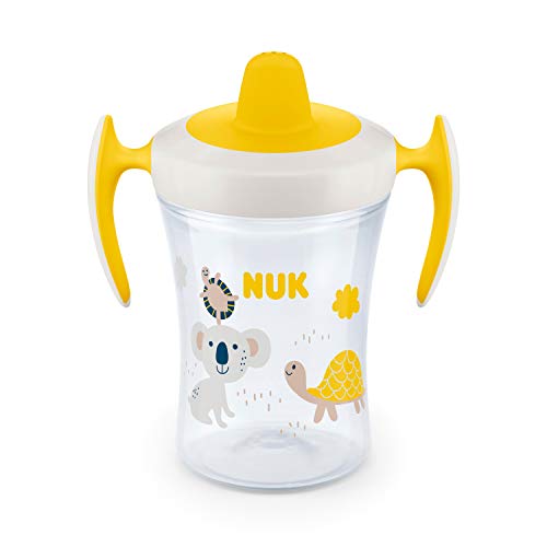 Image of NUK Evolution Soft Spout Learner Cup, 8 oz, 1-Pack
