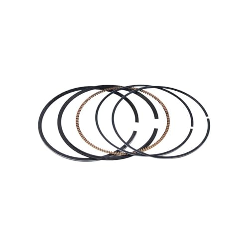 �o�C�N�p�[�c �T�C�Y 77mm-78mm STD-100 �s�X�g�������O YZ250F YZ250 WR250F WR250 F 5NL-11631-20-00(77.75mm Rings)