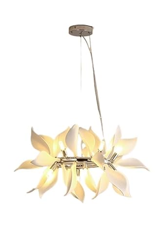 y_gCg, fCW[̉ԂтVfA 퐻t[nMOv VKip LEDƖ Re[Wz[ (Warm Light,B80cm-Golden)