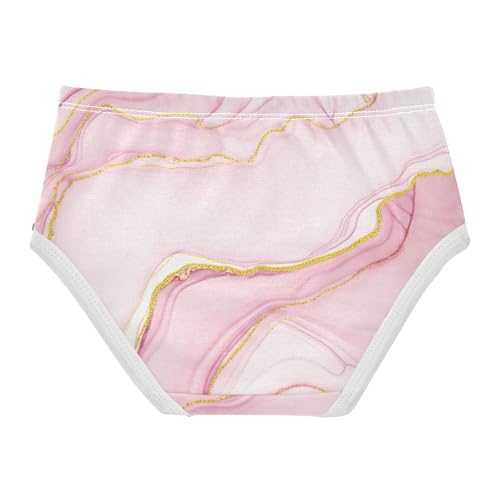 Abstract Marble Blush Pink Little Girl Panties Toddler Underwear Floral Cotton Fancy Briefs Kids Undies 2t2