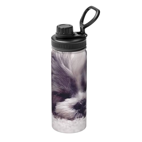 ĂV[Y[  500ml XeX{g }O{g  L[nht ^ѕ֗ RpNg ۉۗ