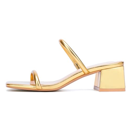 Image of Goderci Women's Chunky Block Low Heeled Sandals | 2 Strap, Square Open Toe, Slip On, Mule Heels