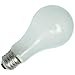 Industrial Grade Light Bulb
