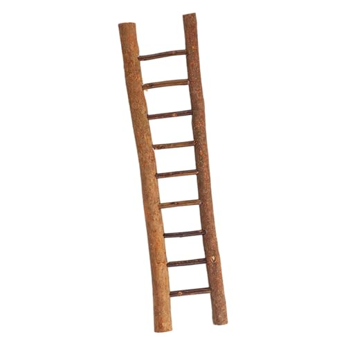 Nishiyuenyi ~jNX}X_[ ȃ_[ ؐ p[eB[̋LOi ~j`A I[ig H|i o[ V[EBhE {I  NX}X, 傫