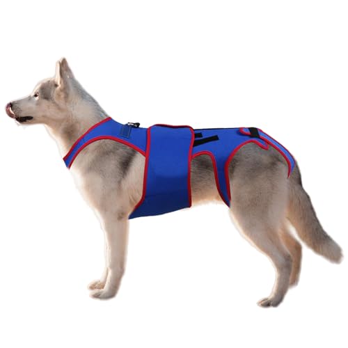 Dog Back Brace Support Harness - ˃XgbvgpҒŃT|[gƗ\h| IVDDAVjAybgAҊ֐߂Ɣw̖Aɂ݂̊ɘaAnrAreBxAÖSɍœK