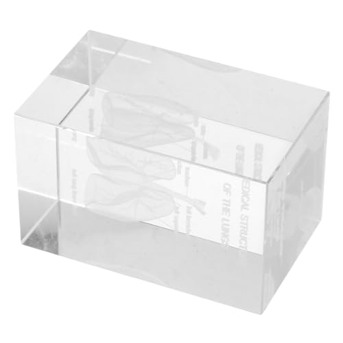 Modèle anatomique du poumon en cristal 3D cube transparent gravé pour l'éducation scientifique