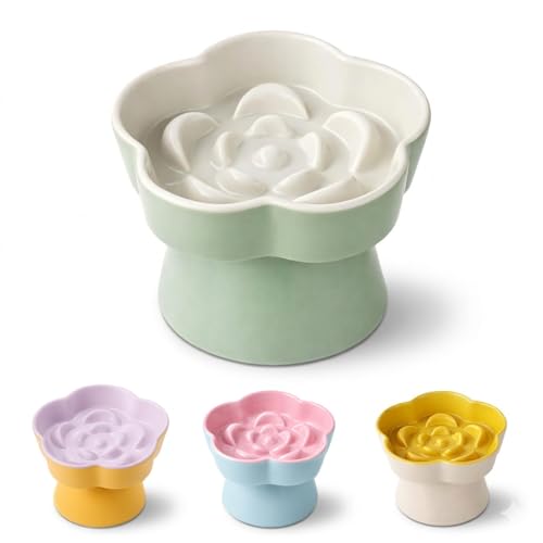 FOCPB Ceramic Elevated Slow Feeder Cat Bowl, Raised and Gently Tilted Feeding…