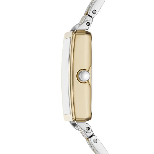 SKAGEN Women's Analog Quartz Watch with Stainless Steel Strap SKW3155