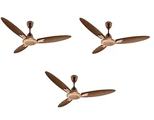 USHA Bloom Magnolia Goodbye Dust Ceiling Fan 1250mm, pack of (3, Sparkler Golden and Brown)