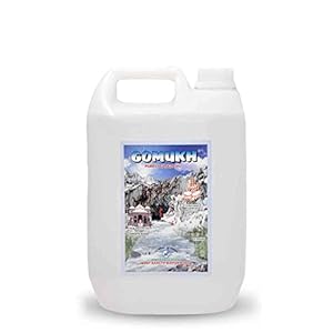 GOMUKH” Gangajal The Purest Holy Water Directly from Gangotri Valley Approved by Govt. of Uttrakhand for Puja Purposes 5…