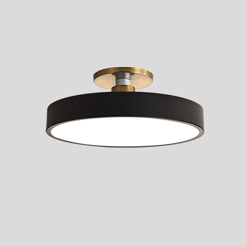LED Flush Mount Ceiling Light, Nordic Minimalist Style Iron Round Ceiling Lamp, White Light 6000K, Lighting Fixture for Cloakroom Corridor Decoration