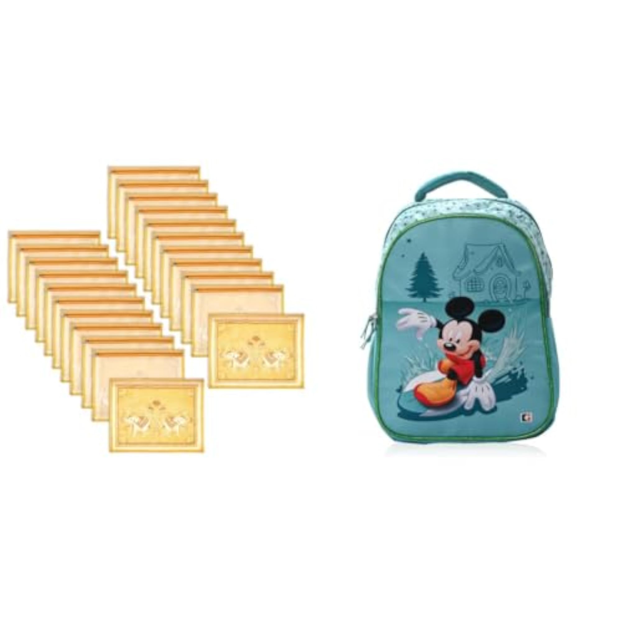 School-College Bag for Everyday Use