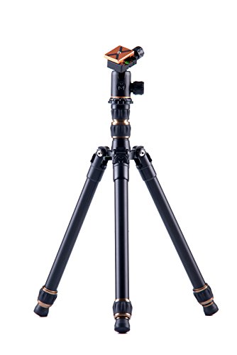 3 Legged Thing Punks - Rick Carbon Fiber Tripod & Airhed (A6-33JD-EO2Z)