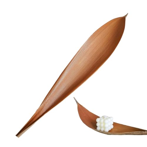 Palmera Decorativa – Tallos botánicos rústicos, Composición Floral Seca, decoración Vegetal Natural, Ramas de Cacao con Acabado de Tierra | Decoración rústica de palmi