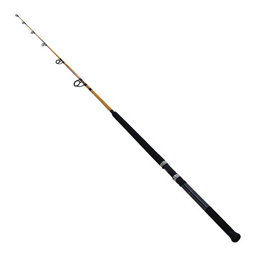 Daiwa FT 20-40 lbs Test, Boat Rod, Rods - Amazon Canada