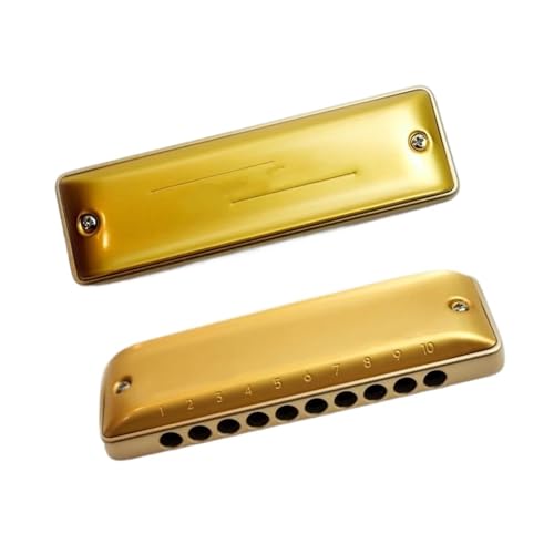 S[hA~R[n[jJ }Ci[AƂ̑̃g[ S҂Ƒl̊Ǌy Dn[jJ(Paddy E)