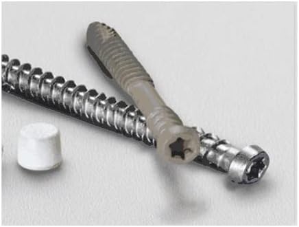 Starborn Pro Plug No. 10 x 2 in. L Star Trim Head Epoxy Coated Carbon Steel Deck Screws and Plugs Kit