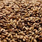 Briess Extra Special Uncrushed Malt - 1 lb. Bag
