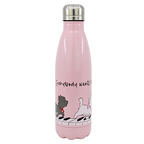 Stor SIMPLE METAL BOTTLE-DISNEY MARIE