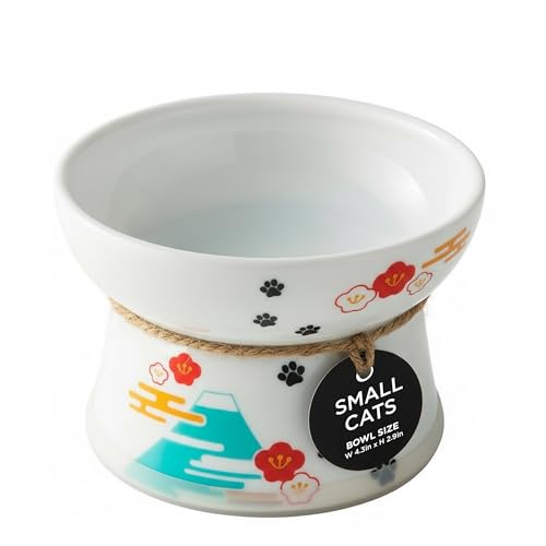 Necoichi Bol surélevé pour Chat