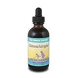 Herbs for Kids Echinacea (Astragalus) - Kids Immune Support Liquid Echinacea Drops, Liquid Herbal Extract, Alcohol-Free Tincture for Toddlers - 4 fl oz