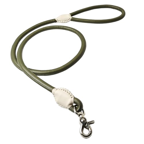 Beanspet pU[[h ی^ ₷ }CNt@Co[U[ v  ^ ^ ^ Up o[iXJ 4F 2TCY (J[L, S,1.2m)