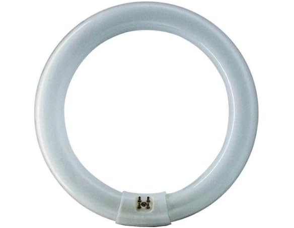 22 Watt Circular T9 Fluorescent 210mm Dia Daylight (Tube Only)