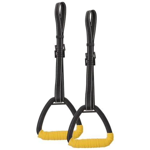 Anillas para Gimnasia Lumbar FRCOLOR con Asas y Correas