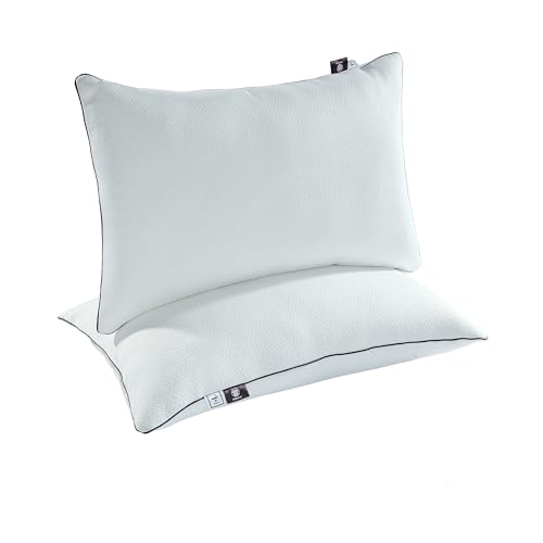 Makimoo Juego de 2 almohadas de dormir de 70 x 48 cm, relleno de microfibra, muy suave, alternativa al plumón con fundas lavables, 2 unidades