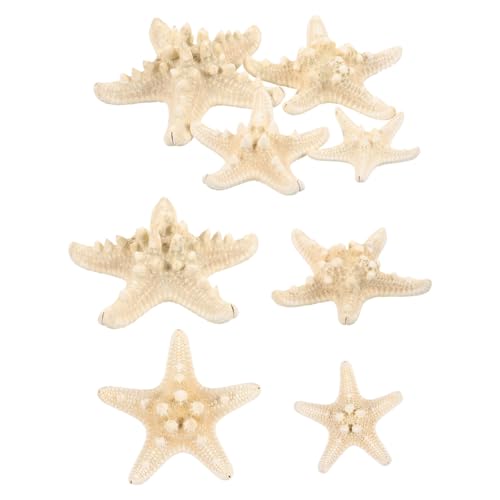 TOPPERFUN 8 Piezas Adornos De Estrella De Pan Animales Marinos Acuario Decoración Costera Decoración Náutica Modelos Realistas De Estrellas De Mar Decoraciones Junto Al Mar Caparazón